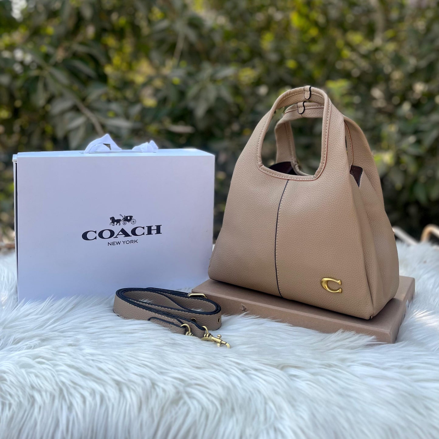 Co-Lana-7