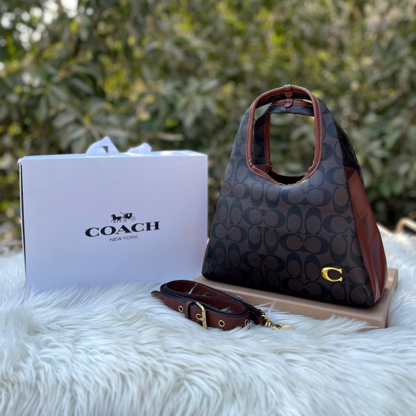 Co-Lana-5