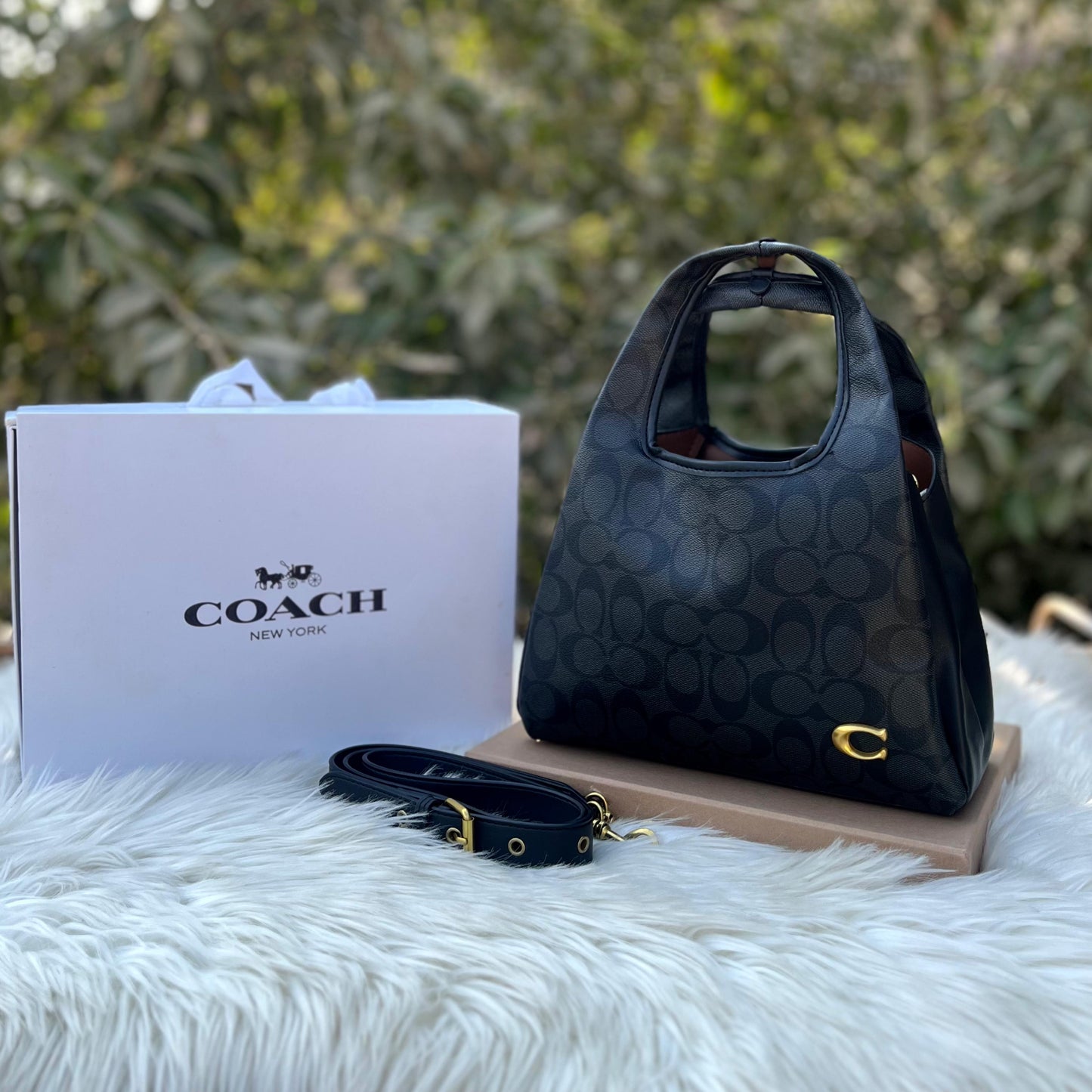 Co-Lana-5