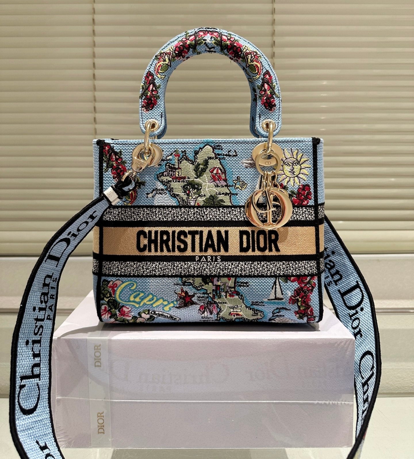 DIOR-OP-EMBRI